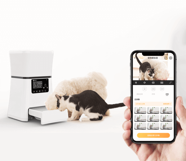 智能喂食 远程爱宠